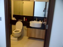 Alexis (D3), Apartment #215722381
